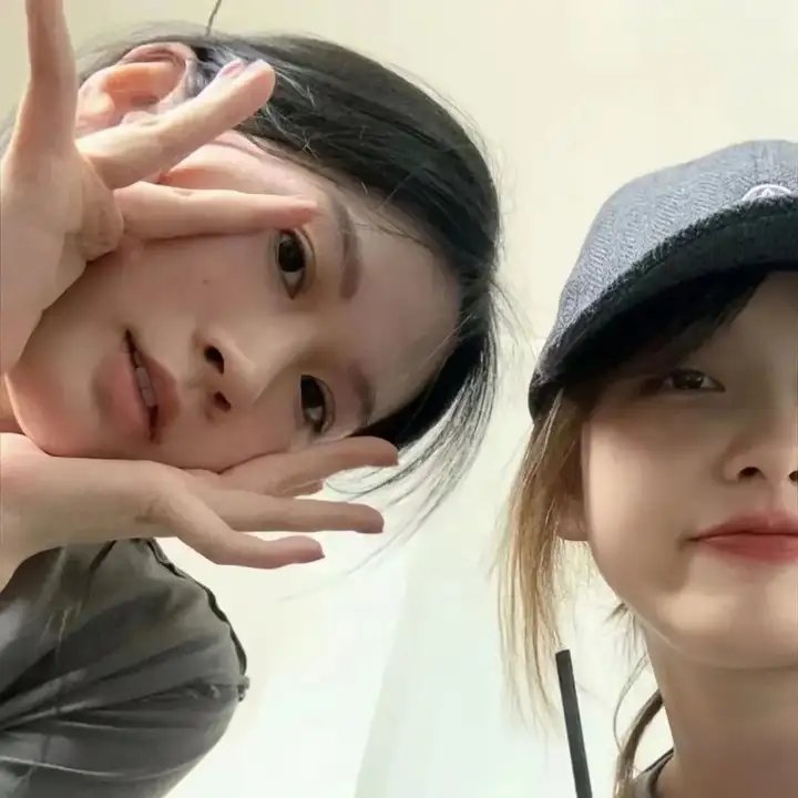 圣诞狗狗救援